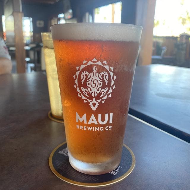 Route 70 — Lanikai Brewing Co. // Hibiscus Saison